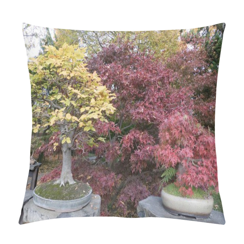 Personality  Beautiful Vivid Botanicak Garden In Autunm Season Pillow Covers