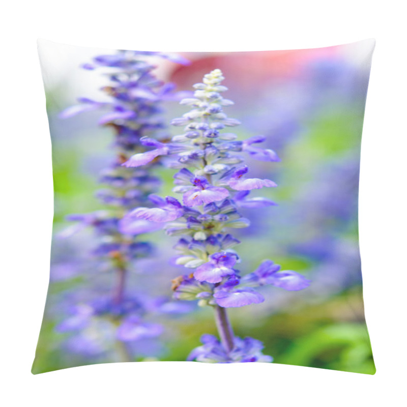 Personality  Blooming Salvia Flowers Pillow Covers