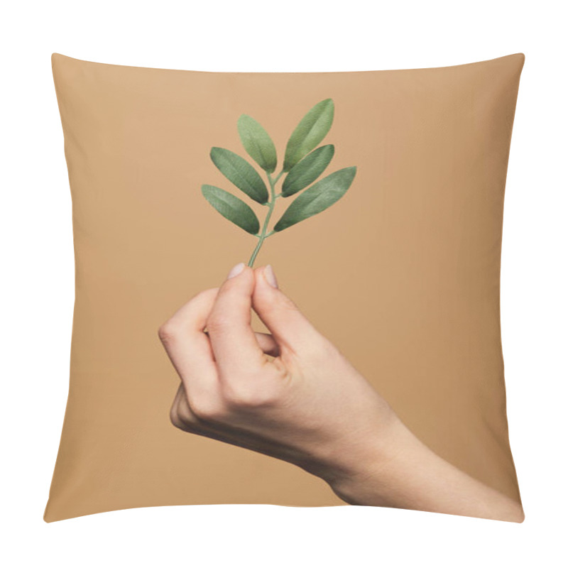 Personality  Cropped View Of Woman Holding Green Plant Isolated On Beige Pillow Covers