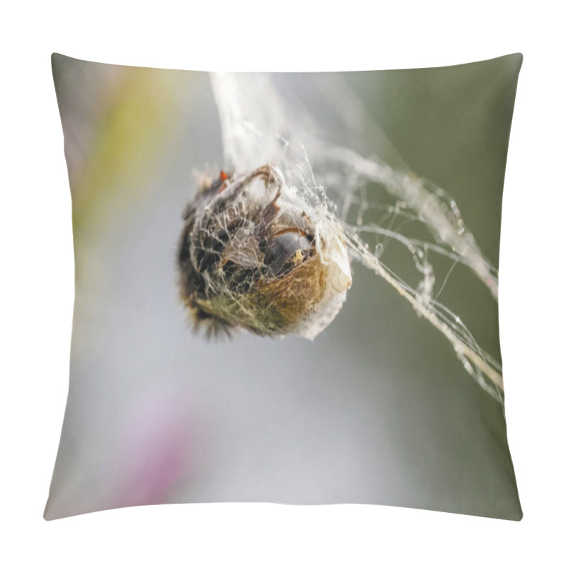 Personality  An Aculepeira Ceropegia, The Oak Spider With Prey In The Web Pillow Covers