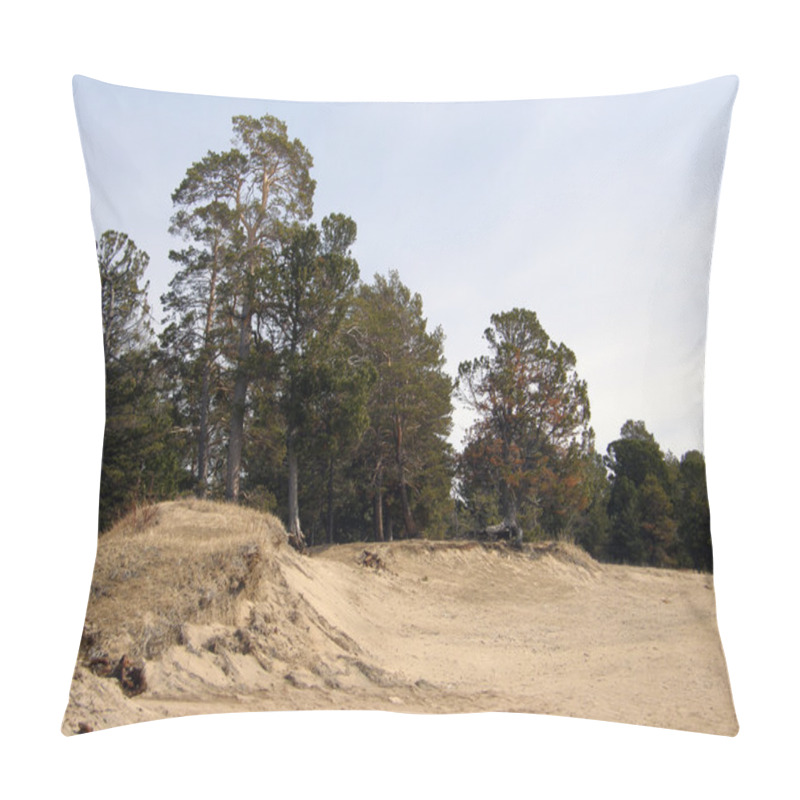 Personality  The Pine Forest And Sandy Beach Near Lake Baikal. Siberia. Pillow Covers