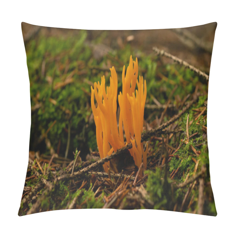 Personality  Beautiful Mushroom In The Forest Pillow Covers