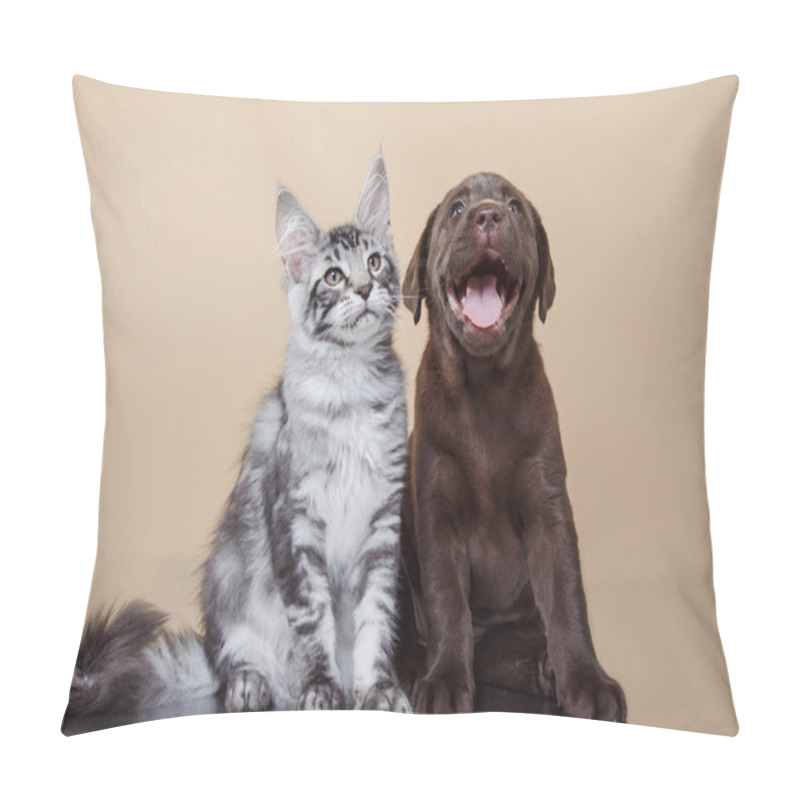 Personality  Labrador Puppy And Kitten Breeds Maine Coon Pillow Covers