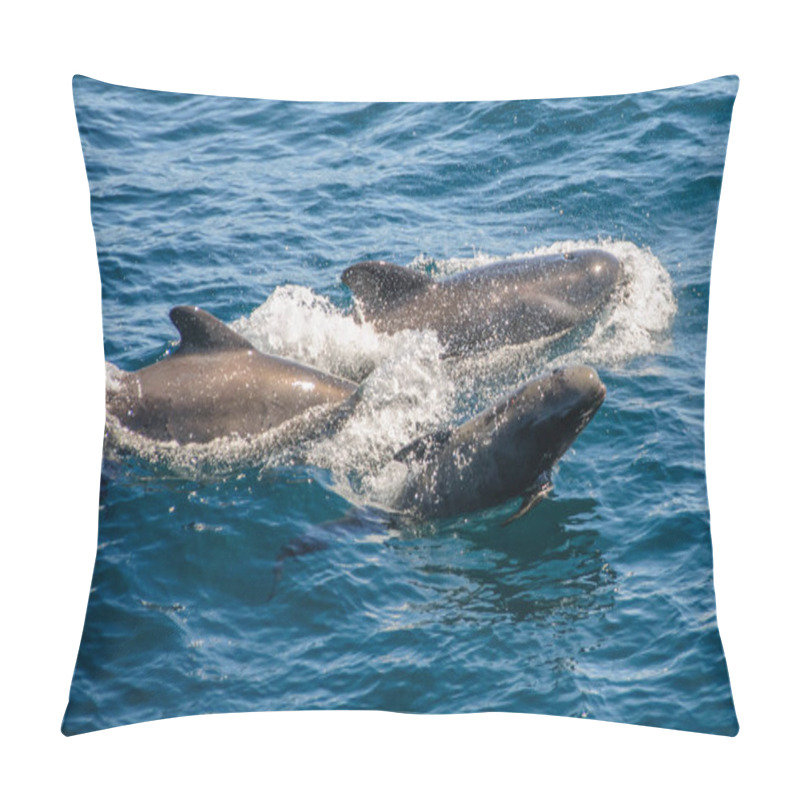 Personality  Long-finned Pilot Whales Pillow Covers