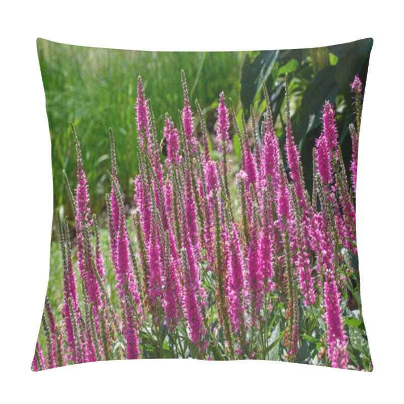 Personality  This Image Shows A Close Up Texture Landscape View Of Veronica Spicata (spiked Speedwell) Flowers In Bloom In A Sunny Ornamental Garden. Pillow Covers