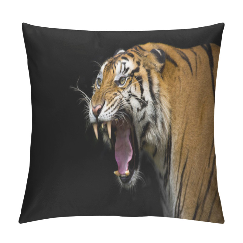 Personality  Sumatran Tiger Profile On A Black Background Pillow Covers