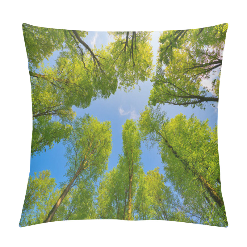 Personality  A Great View Up Into The Trees Direction Sky, Sunstars, Fresh Green And Blue Sky, Treetops Pillow Covers