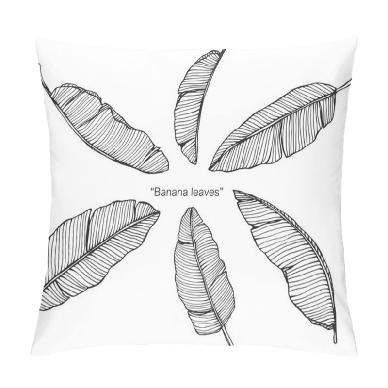 Personality  Banana Leaves Drawing. Drawing And Sketch With Black And White Line-art. Pillow Covers