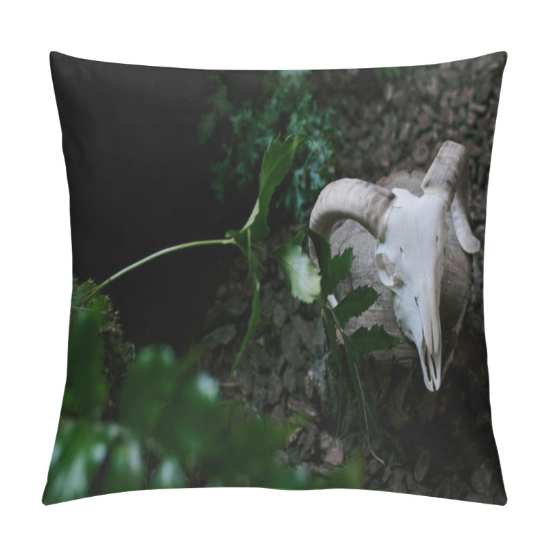 Personality  A Close-up Shot Of A Ram Skull Nestled Among Vibrant Green Foliage. Pillow Covers