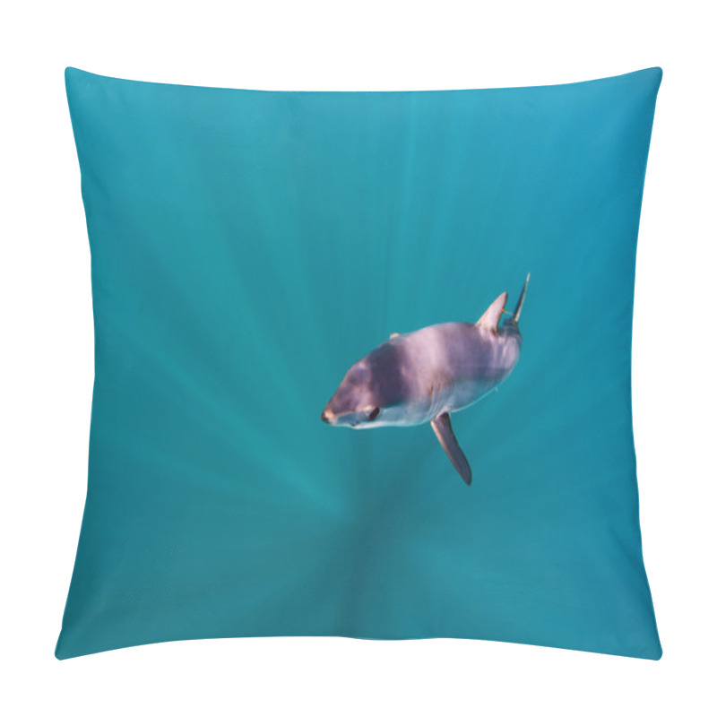 Personality  Mako Shark Pillow Covers