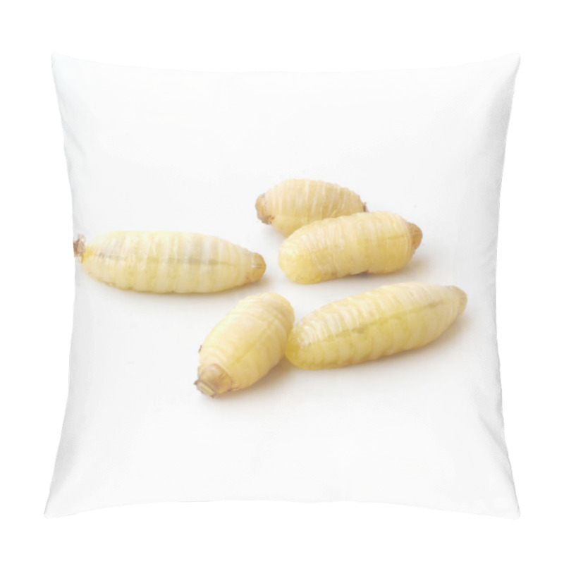 Personality  Wasps Worm Pillow Covers