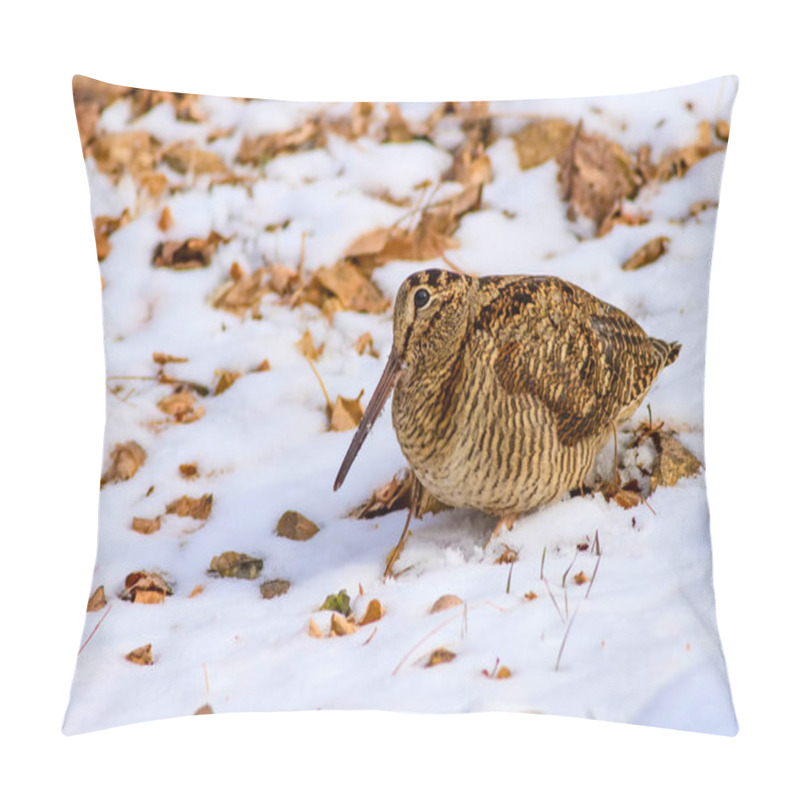 Personality  Camouflage Bird Woodcock. Brown Dry Leaves And Snow Background.. Bird: Eurasian Woodcock. Scolopax Rusticola. Pillow Covers