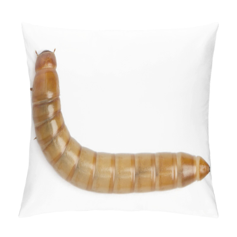 Personality  Larva Of Mealworm, Tenebrio Molitor, In Front Of White Background Pillow Covers