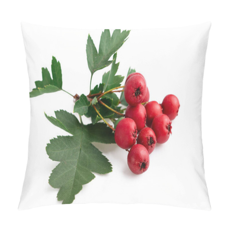 Personality  Hawthorn Red Berries With Leaf Isolated On White Background Pillow Covers