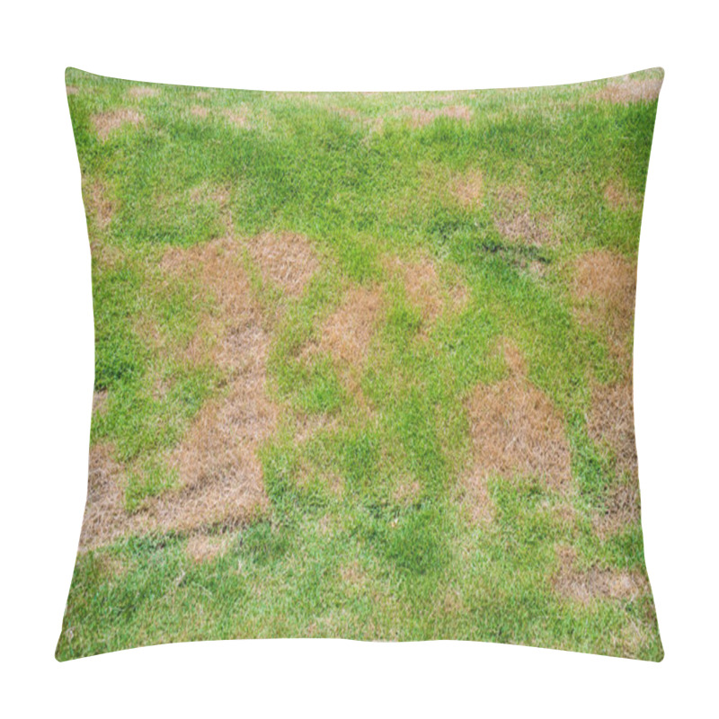 Personality  Dead Grass Top View Of The Nature Background. Patch Is Caused By The Destruction Of Fungus Rhizoctonia Solani Grass Leaf Change From Green To Dead Brown In A Circle Lawn Texture Background Dead Dry Grass. Pillow Covers