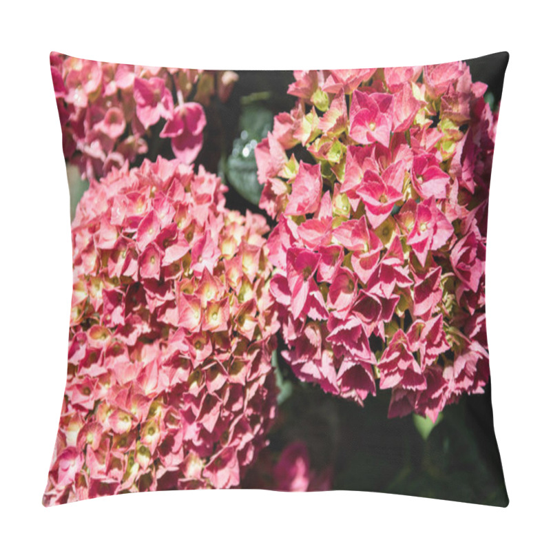 Personality  Hydrangea Pillow Covers