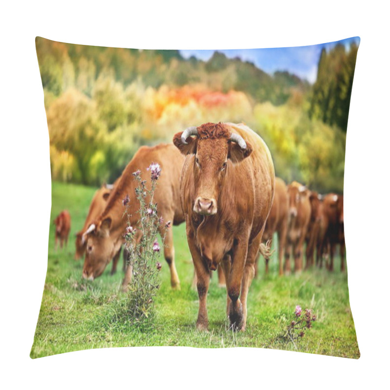 Personality  Mountain Pasture In Autumn Pillow Covers