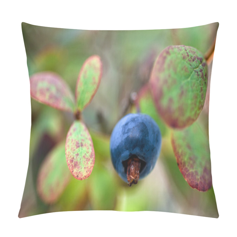 Personality  Blueberry Pillow Covers