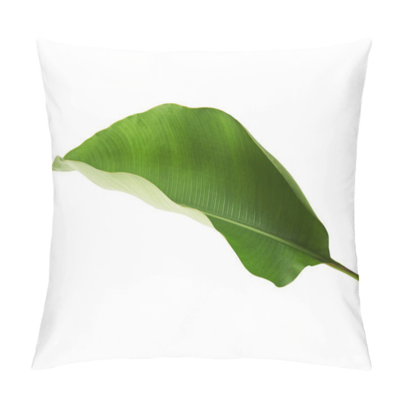 Personality  Strelitzia Reginae, Heliconia, Tropical Leaf, Bird Of Paradise Foliage Isolated On White Background, With Clipping Path  Pillow Covers