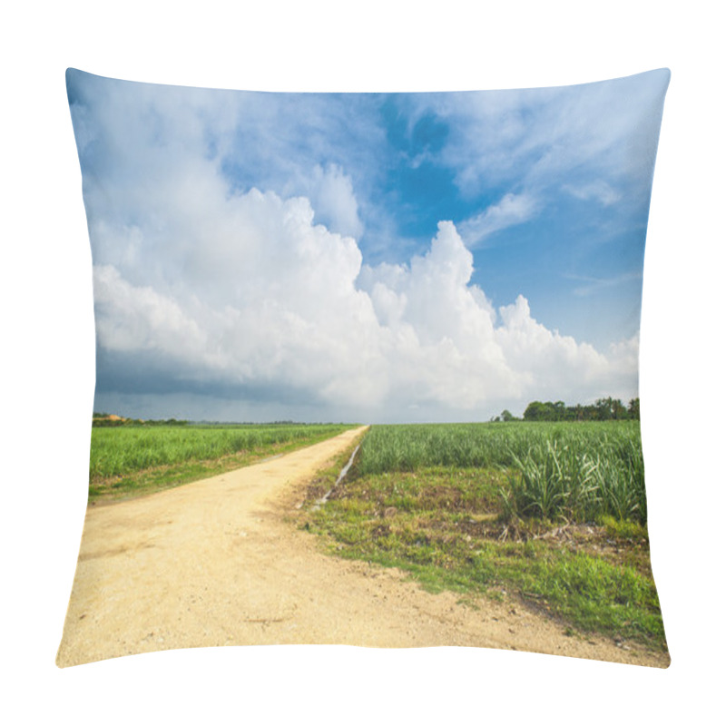 Personality  Caribbean Sugar Cane Plantations In Dominican Respublic Pillow Covers