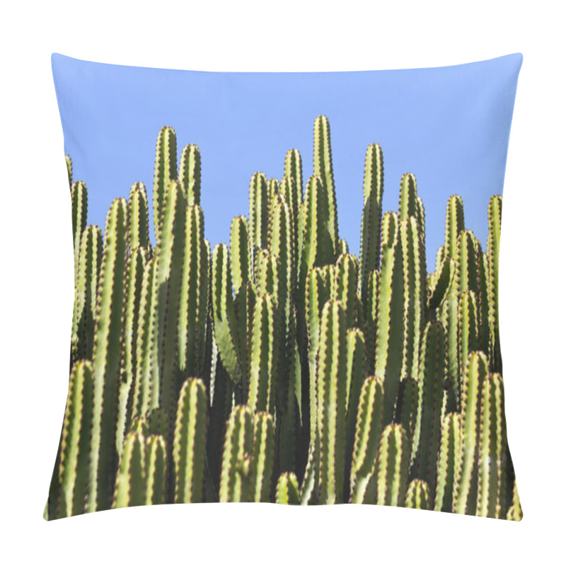 Personality  Tropical Exotic Plant Cactus  Pillow Covers