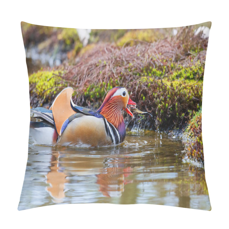 Personality  Male Mandarin Duck (Aix Galericulata) Eating A Fish In A Pond In The Netherlands Pillow Covers