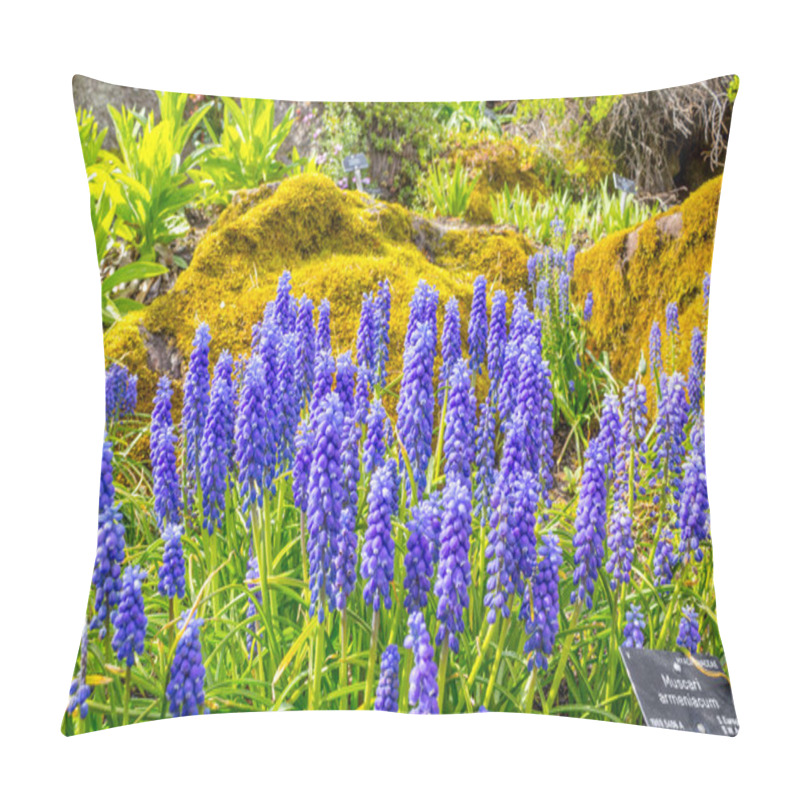 Personality  Muscari Armeniacum, Pillow Covers