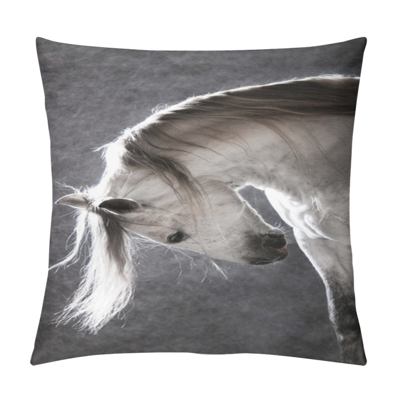 Personality  White Horse On The Dark Background Pillow Covers