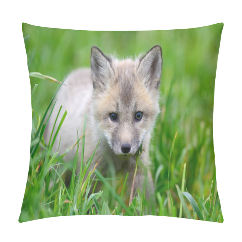 Personality  Baby Silver Fox Pillow Covers