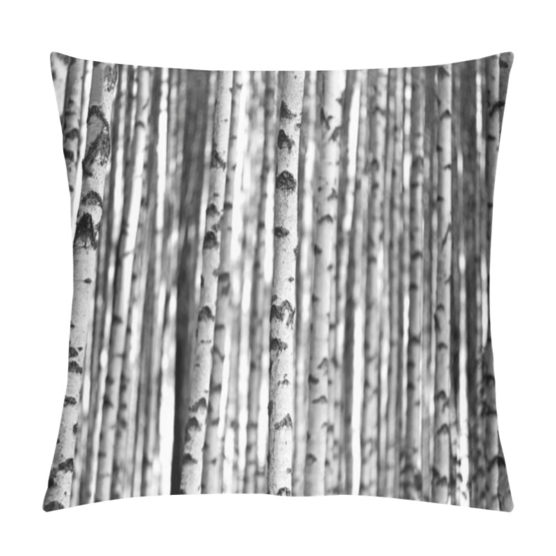 Personality  Birch Trees In Black And White Pillow Covers