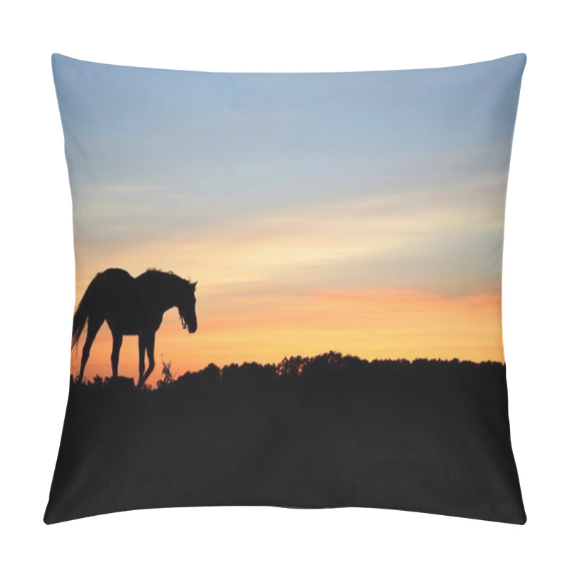 Personality  Horses Pillow Covers