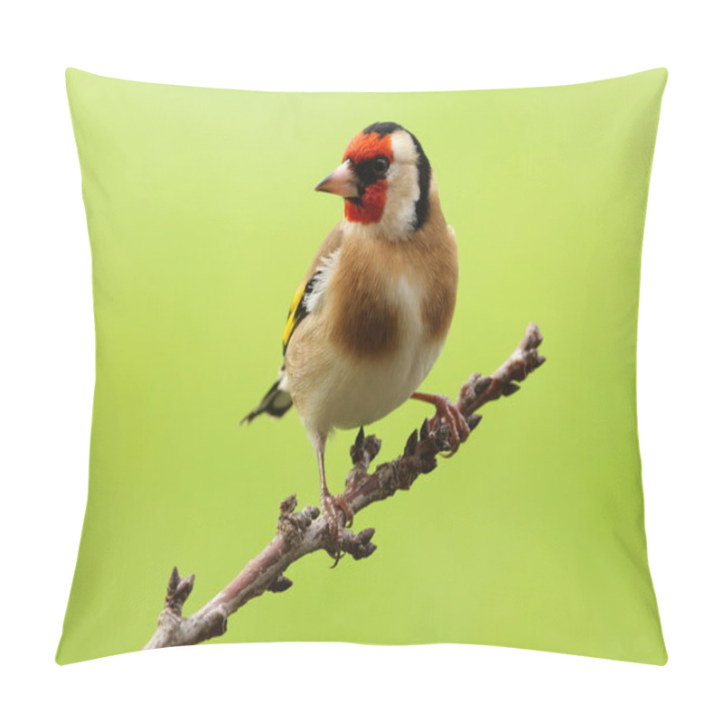 Personality  Goldfinch - Carduelis Carduelis Pillow Covers