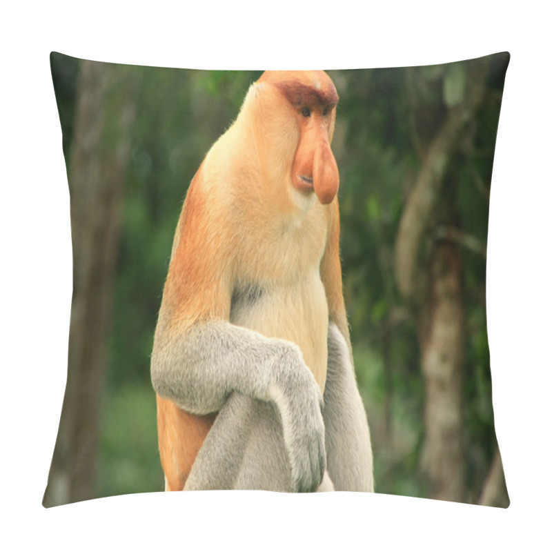 Personality  Proboscis Monkey Sitting On A Tree, Borneo, Malaysia Pillow Covers