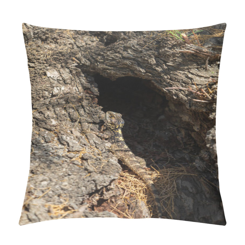 Personality  Small Lizard Among The Stones On The Beach Pillow Covers