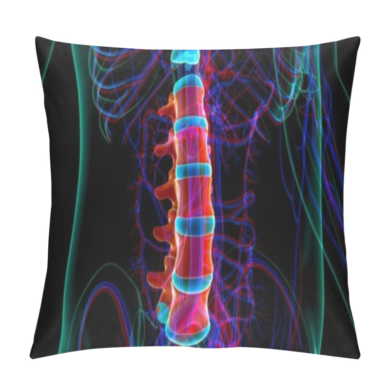 Personality  Human Skeleton Vertebral Column Lumbar Vertebrae Anatomy 3D Illustration Pillow Covers