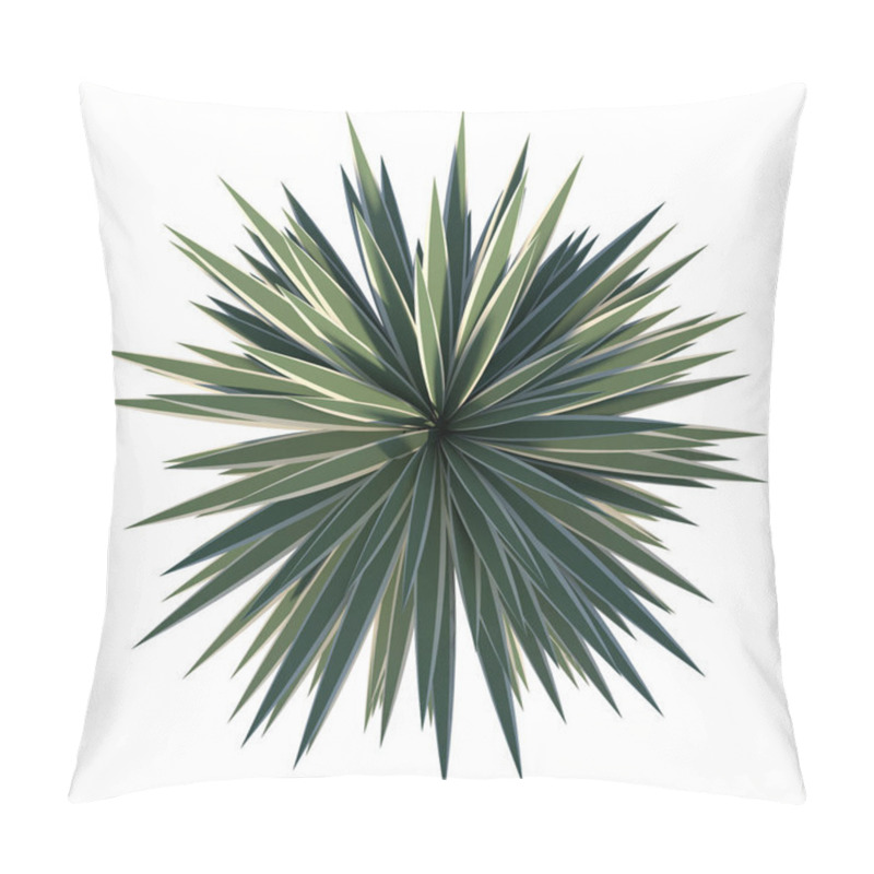 Personality  Top View Of Tree Agave Vivipara Plant White Background 3D Rendering Ilustracion 3D Pillow Covers