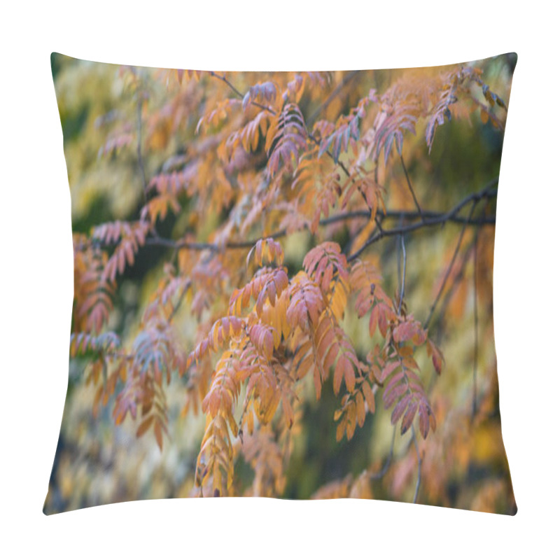 Personality  The Delicate Details Of Orange-tinged Leaves On A Branch, Set Against A Blurred Backdrop Of Autumnal Foliage, A Harmonious Dance Of Fall's Fiery Hues. Pillow Covers