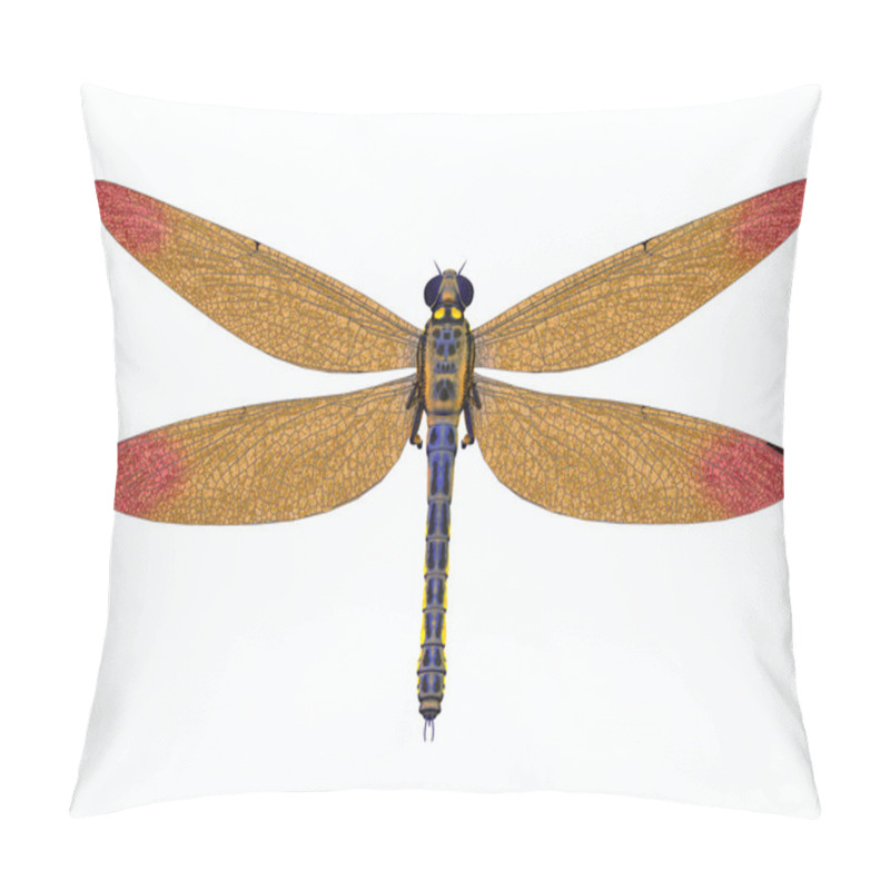 Personality  Carboniferous Meganeura Dragonfly Pillow Covers