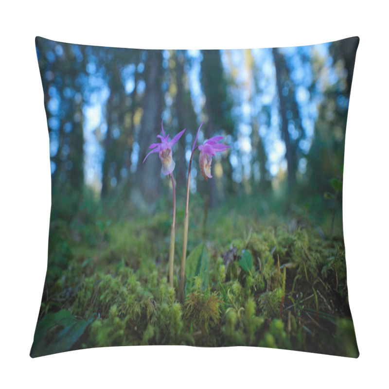 Personality  Beautiful Pink Orchid In Finland Pillow Covers