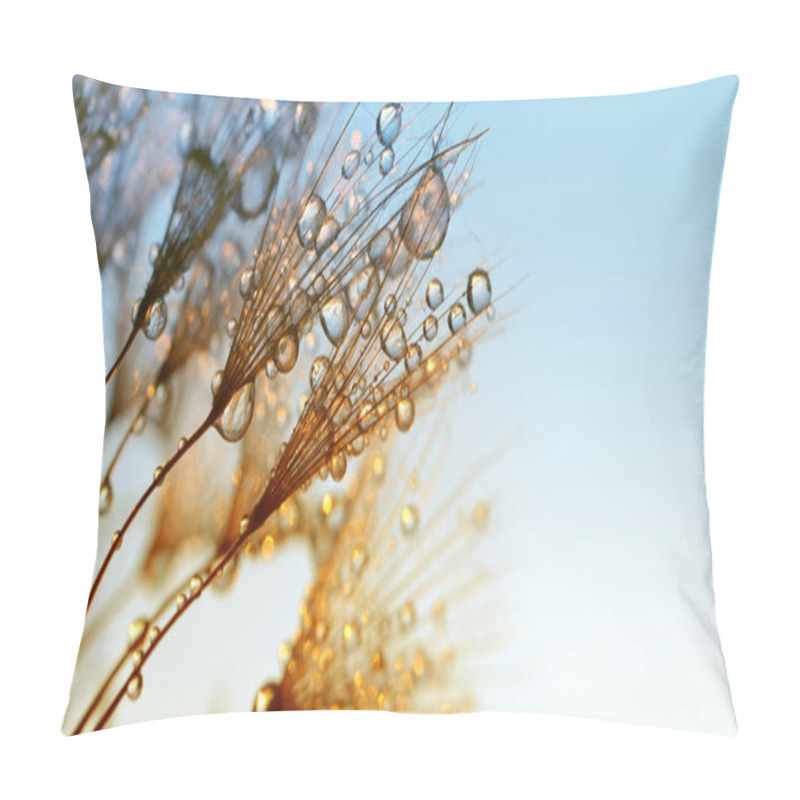 Personality  Dew Drops On A Dandelion Seeds At Sunrise. Pillow Covers