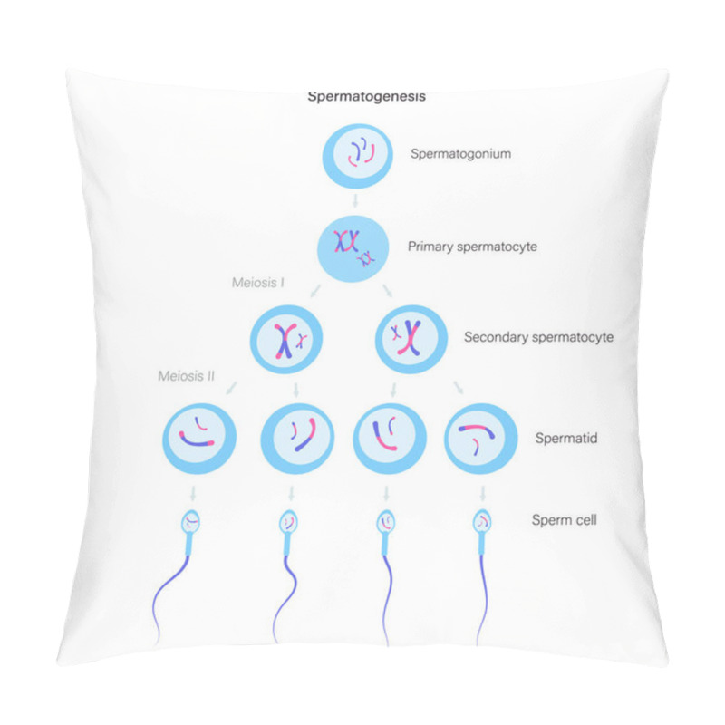 Personality  Reproductive System Concept Pillow Covers