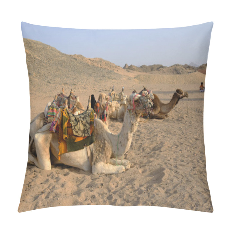 Personality  Camels In A Bedouin Village Are Waiting For Tourists Pillow Covers