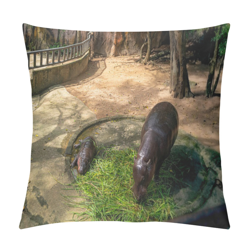 Personality  A Baby Hippopotamus Is Causing A Fan Frenzy In Thailand.Moo Deng - A Name That Roughly Translates To Bouncy Pig Is A Two Month Old Female Pygmy Hippo That Is Going Viral Online. Lovely Calf Bonding Pillow Covers