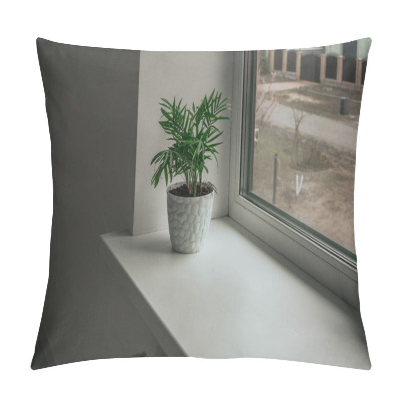 Personality  A Green Houseplant Stands On A White Windowsill. Pillow Covers