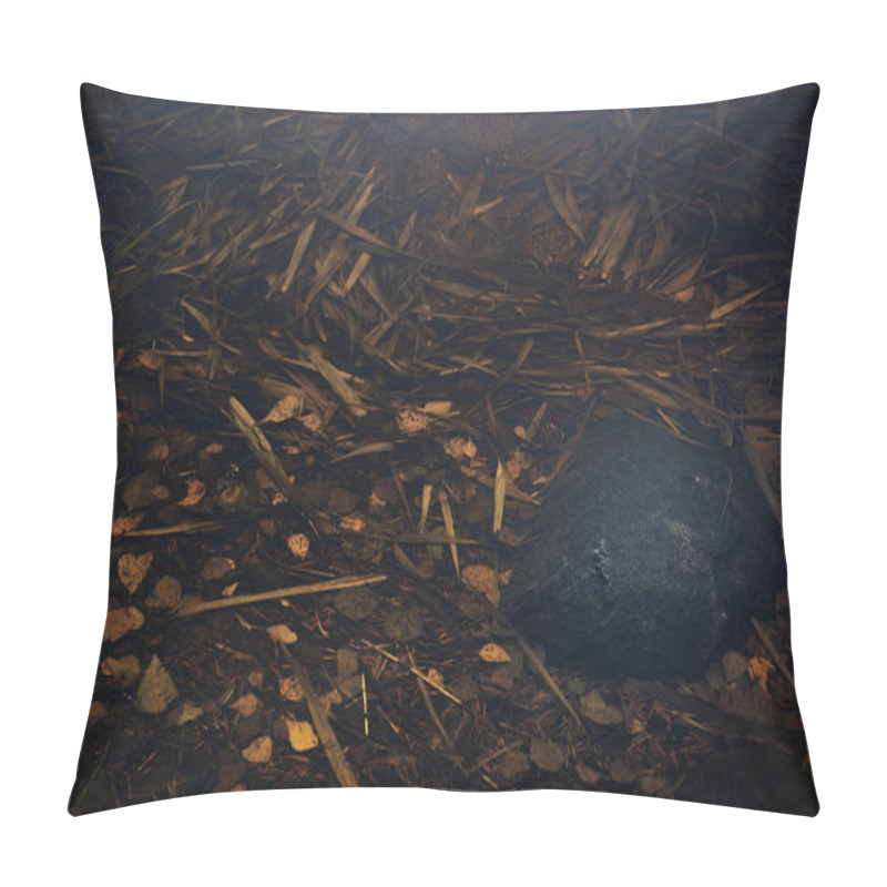 Personality  An Underwater View Of A Natural Scene, Featuring A Large Dark Stone Surrounded By Submerged Leaves, Pine Needles, And Aquatic Plants. The Muted, Earthy Tones And Low Lighting Create A Moody, Introspective Atmosphere, Emphasizing The Intricate Texture Pillow Covers