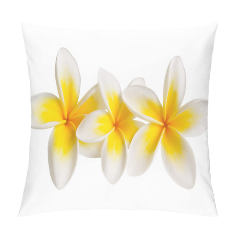 Personality  Plumeria (with Path) Pillow Covers