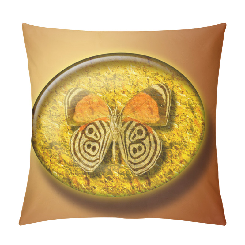 Personality  Butterfly In Amber Stone Pillow Covers