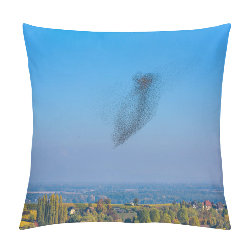 Personality  Flock  And Swarm Of Birds - Beautiful Formations Of Flying Birds Pillow Covers