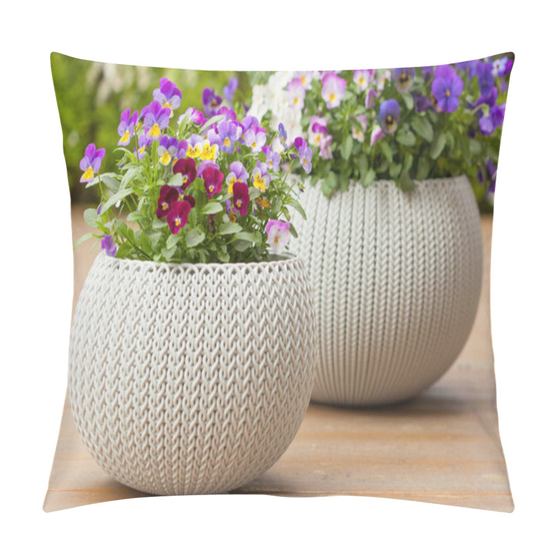 Personality  Beautiful Pansy Summer Flowers In Flowerpots In Garden Pillow Covers