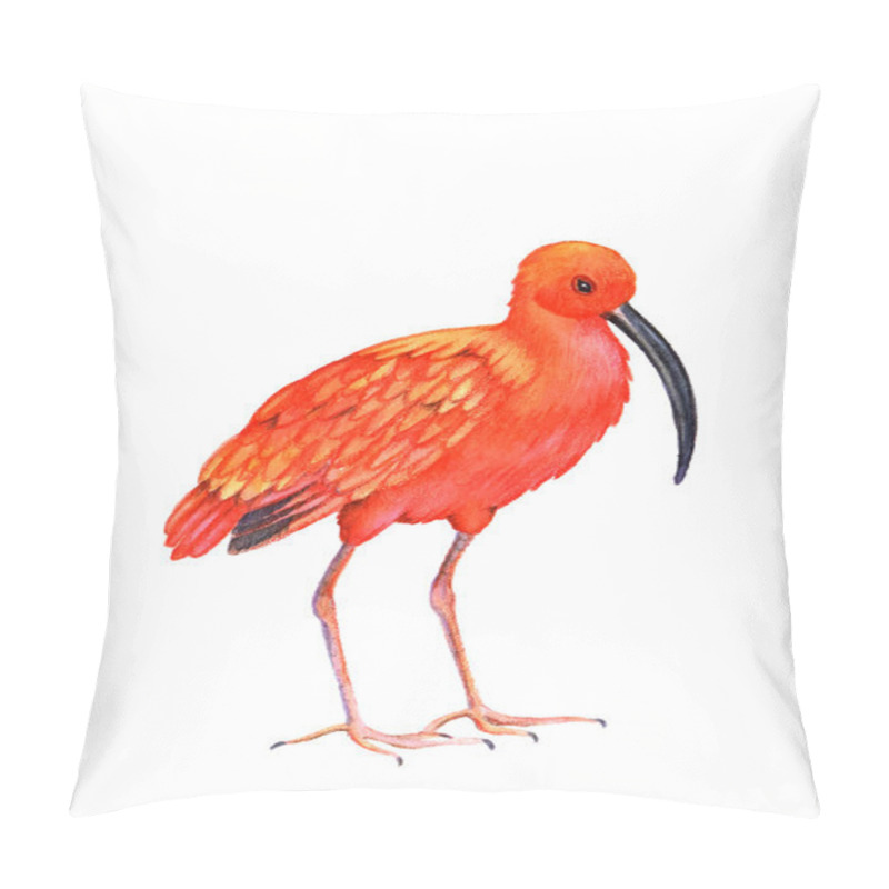 Personality  Bird  Illustration Pillow Covers